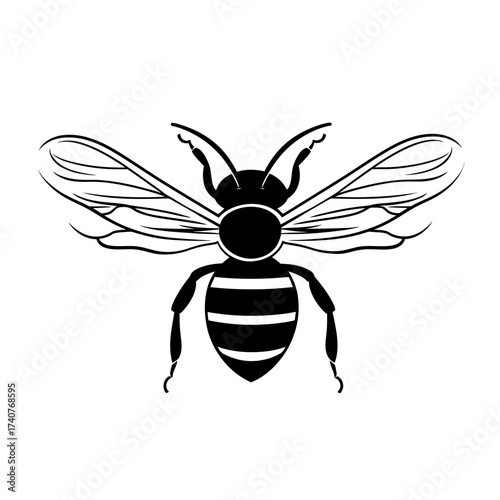 Minimalist black and white bee illustration with detailed wings and striped body vector design for nature and insect concept