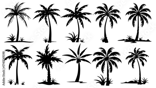 Palm tree silhouettes for tropical vacation vibes and summer designs, perfect for travel brochures, logo elements, or beach themed party invitations
