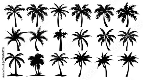 Evocative palm tree silhouettes conjuring serene tropical vibes for travel, design, and summer themes with scalable vector potential for versatile use