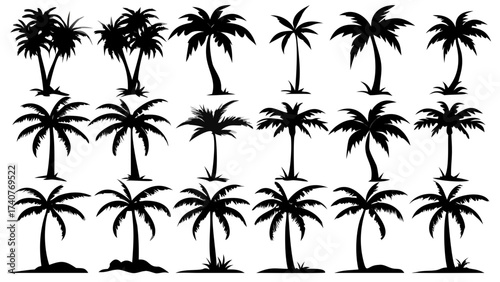 Stunning collection of palm tree silhouettes for tropical designs, perfect for vacation vibes, summer projects, or exotic island themes, originally a vector graphic