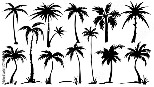 Dreamy tropical silhouettes of palm trees swaying in the breeze, perfect for summer designs or vacation vibes, created from scalable vector graphics