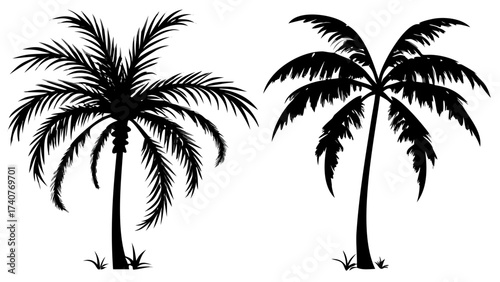 Two palm tree silhouettes evoke tropical paradise vibes, perfect for vacation promos, summer designs, and island getaway themes, bringing a touch of the tropics