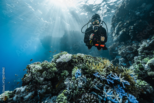 Wallpaper Mural diver exploring the crystal clear water of the Red Sea in Egypt Torontodigital.ca