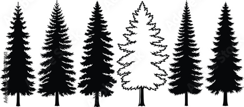 Collection of pine tree silhouettes in different shapes isolated on white background, evergreen forest conifer vector illustration for nature and design.