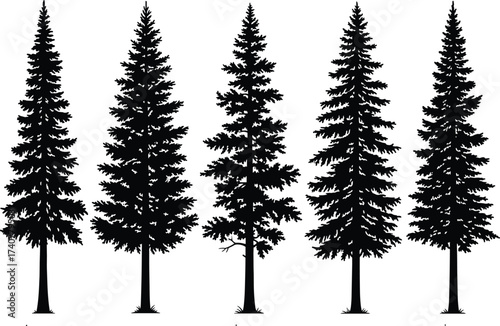 Collection of black silhouette pine trees isolated on white background, detailed evergreen forest tree design for nature, landscape, and decoration.
