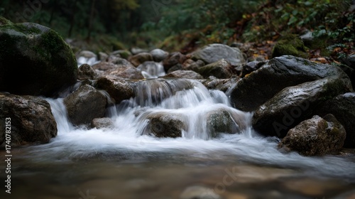 A serene forest stream flows over wet rocks with a motion blur effect