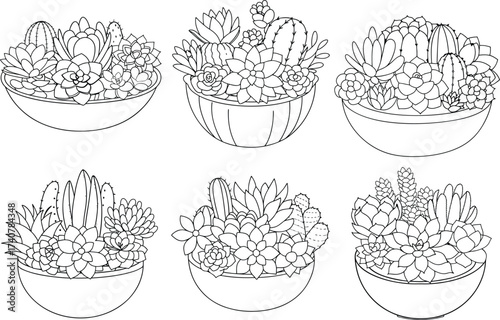 Line art illustration of a succulent plant arrangement in a bowl