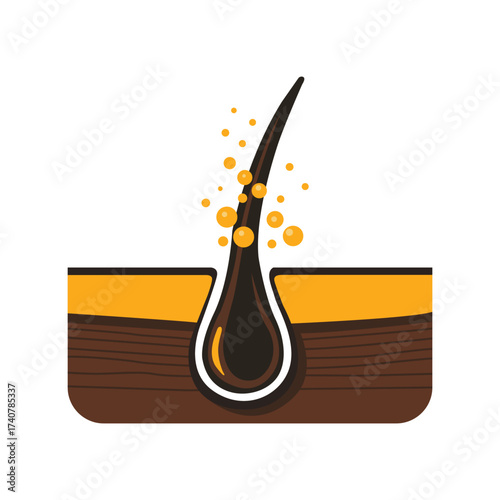 Hair follicles receive nourishment, strengthened by golden oil droplets, isolated on a white background.