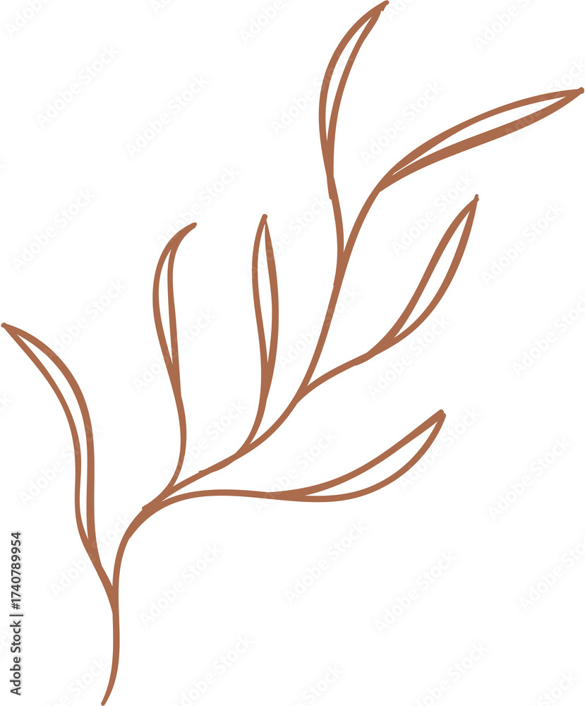 Fototapeta premium Delicate Brown Foliage Outline On Transparent Background Minimalist Nature Illustration