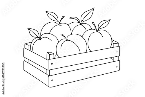 peaches in wooden crate vector illustration