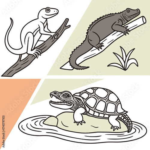 Collection of reptile illustrations including a gecko crocodile and turtle