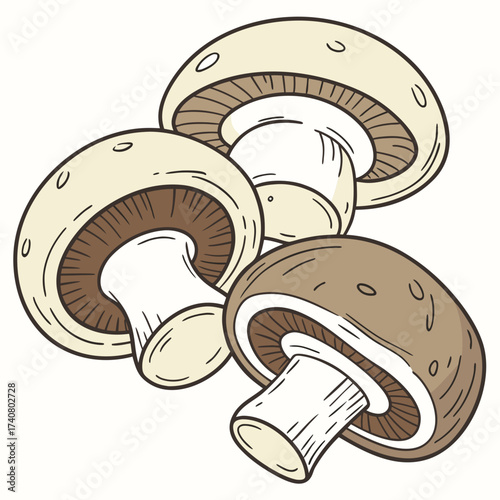 Vector art of three mushrooms with light brown and white caps, showcasing their gills and stems, arranged in a cluster on