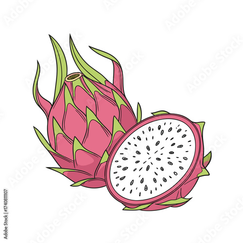 Vector illustration of a dragon fruit on a transparent background
