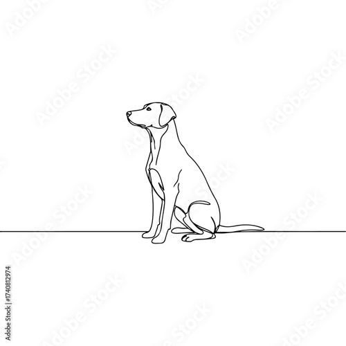Minimalist dog illustration - A focused canine portrait.
