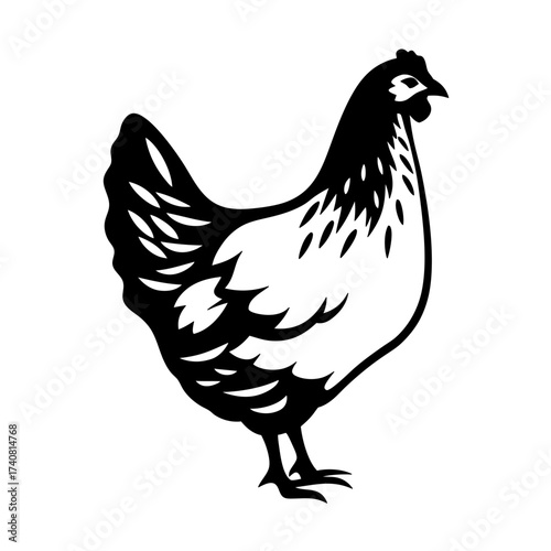Black and white vector illustration of a chicken, rooster, hen standing