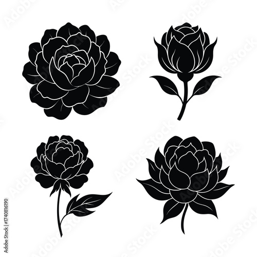Peony Flower Icons Collection for Nature Garden and Decoration