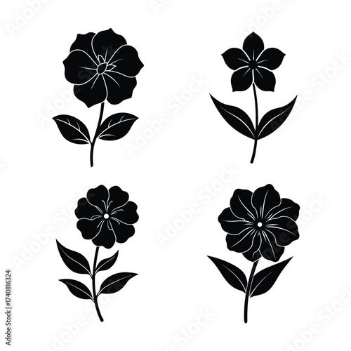 Periwinkle Flower Icons Collection for Nature Garden and Decoration