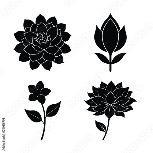 Succulent flower icons collection for modern botanical design