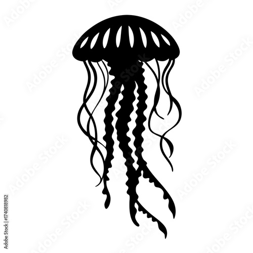 Striking black and white illustration of a jellyfish, a true denizen of the deep