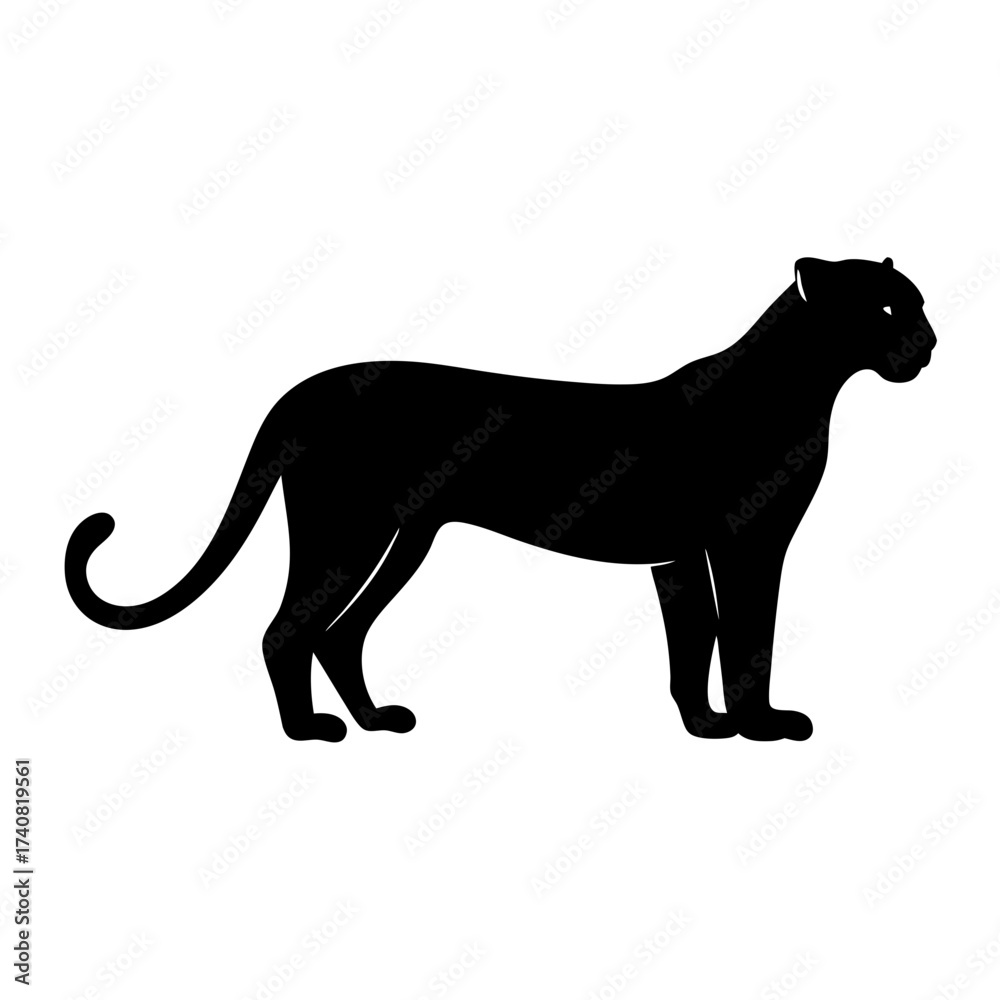 Fototapeta premium Silhouette of a sleek black panther standing calmly on a white background
