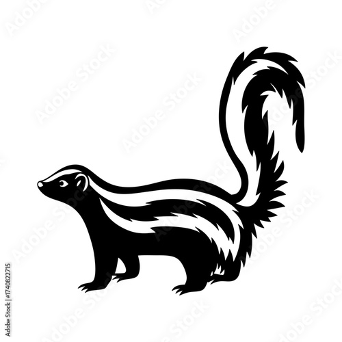 Stylized black and white image of a skunk with big fluffy tail