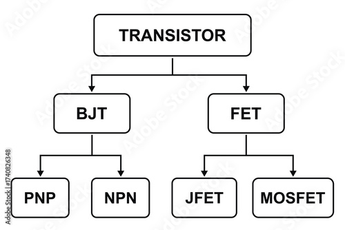 Transistor types on the white background. Education. Science. School. Vector illustration.