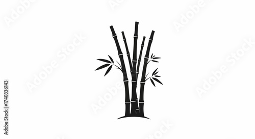 bamboo isolated on white