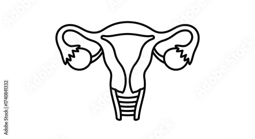 Uterus and Ovaries Line Art Female Reproductive System Icon