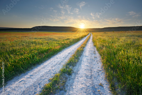 Road lane and green meadow during the sunset.