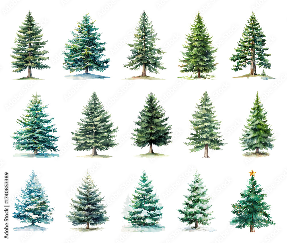 Fototapeta premium Watercolor evergreen trees collection.