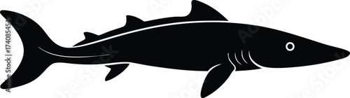 Lake Sturgeon Line Art Silhouette Vector, Freshwater Fish and Great Lakes Icon, Sturgeon Silhouette Vector Art Illustration.