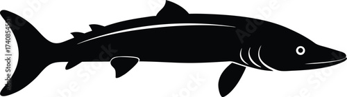 Lake Sturgeon Line Art Silhouette Vector, Freshwater Fish and Great Lakes Icon, Sturgeon Silhouette Vector Art Illustration.