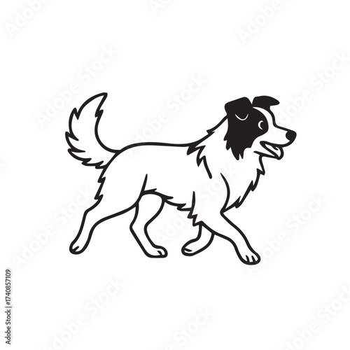 Vector drawing of a Border Collie, colored black and white with bold black outlines, capturing its alert face, fluffy tail, and graceful body posture.