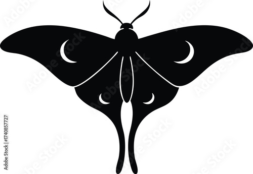 Moth silhouette line art vector illustration design, Ethereal and Nature Insect Illustration.

