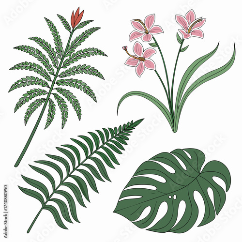 Collection of illustrated tropical plants including ferns and pink lilies against a white background