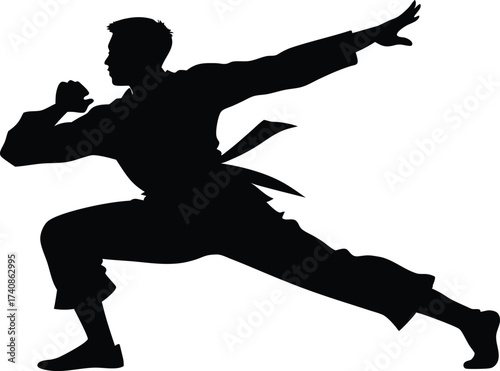 Kung Fu Martial Arts Silhouette Icon. Martial Artist in Fighting Pose Silhouette, Chinese Martial Arts Silhouette Symbol.