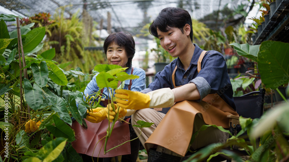 Obraz premium Family business owners working together in a plant nursery, smiling while taking care of potted plants. Concept of teamwork andentrepreneurship.