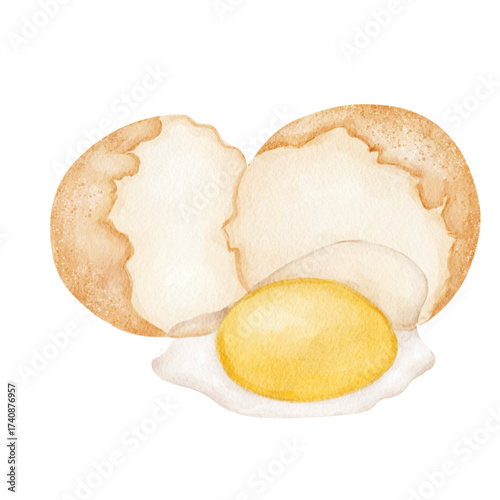 Eggs Watercolor⁠
