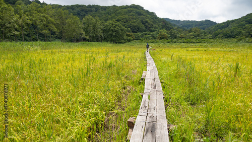 斑尾高原の夏　沼の原湿原　　飯山市　長野県　日本
