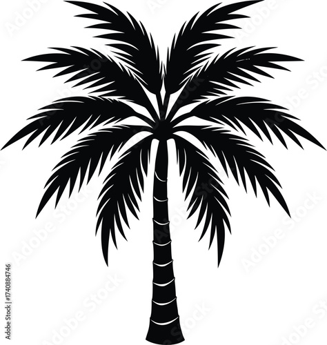 This is a simple, black silhouette of a palm tree against a white background. It features a textured, segmented trunk and a crown of large, fan-shaped leaves. The image has a clean, iconic design.