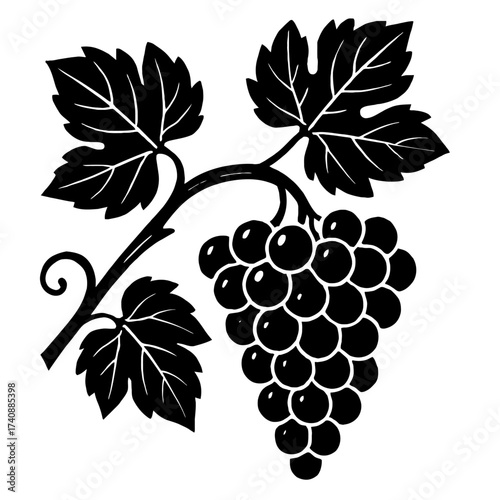 Elegant black silhouette illustration of a grape vine, presenting a full bunch of ripe grapes and artfully detailed leaves. Superb vector art for wine branding, vineyard logos, organic food labels, bo
