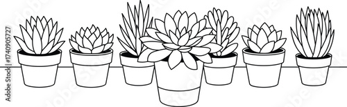 Black and white line drawing of six succulent plants in pots, minimalist cactus illustration, decorative indoor houseplant outline design