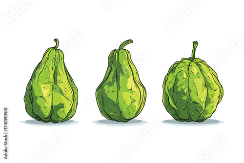 chayote vegetable market raw isolated