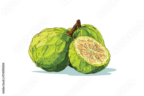 Cherimoya fruit half food isolated