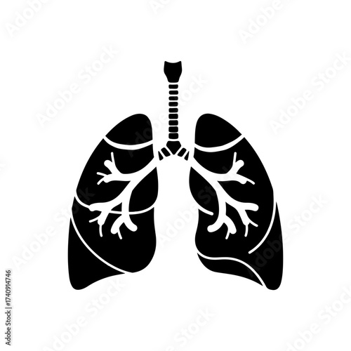 Human lungs representing respiratory system in anatomical diagram, showing bronchi and trachea, symbolizing health and breathing.