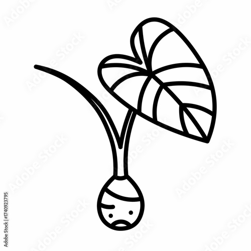Taro root icon, organic farm product vector