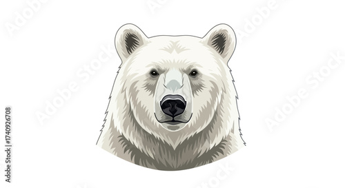 A detailed, stylized illustration presents a polar bear's head, centered with a white background