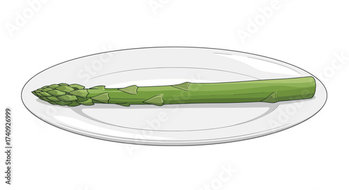 A single stalk of green asparagus, freshly prepared, resting on a plain, white, oval plate