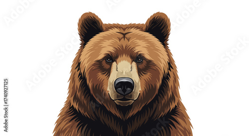 A front-facing, detailed illustration of a brown bear's head with a white background
