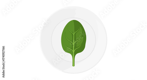 A green spinach leaf is centered on a white plate against a white background